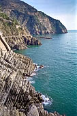 Liguria - Le Cinque Terre. Il Sentiero Verdeazzurro tra Manarola e Riomaggiore. La contorta stratificazione rocciosa di arenaria.